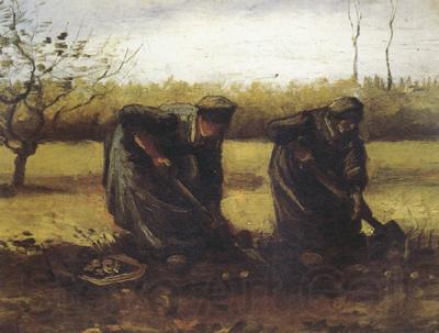 Vincent Van Gogh Two Peasant Women Digging Potatos (nn04)